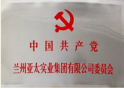 兰州金沙1963实业集团有限公司成立党委会专题